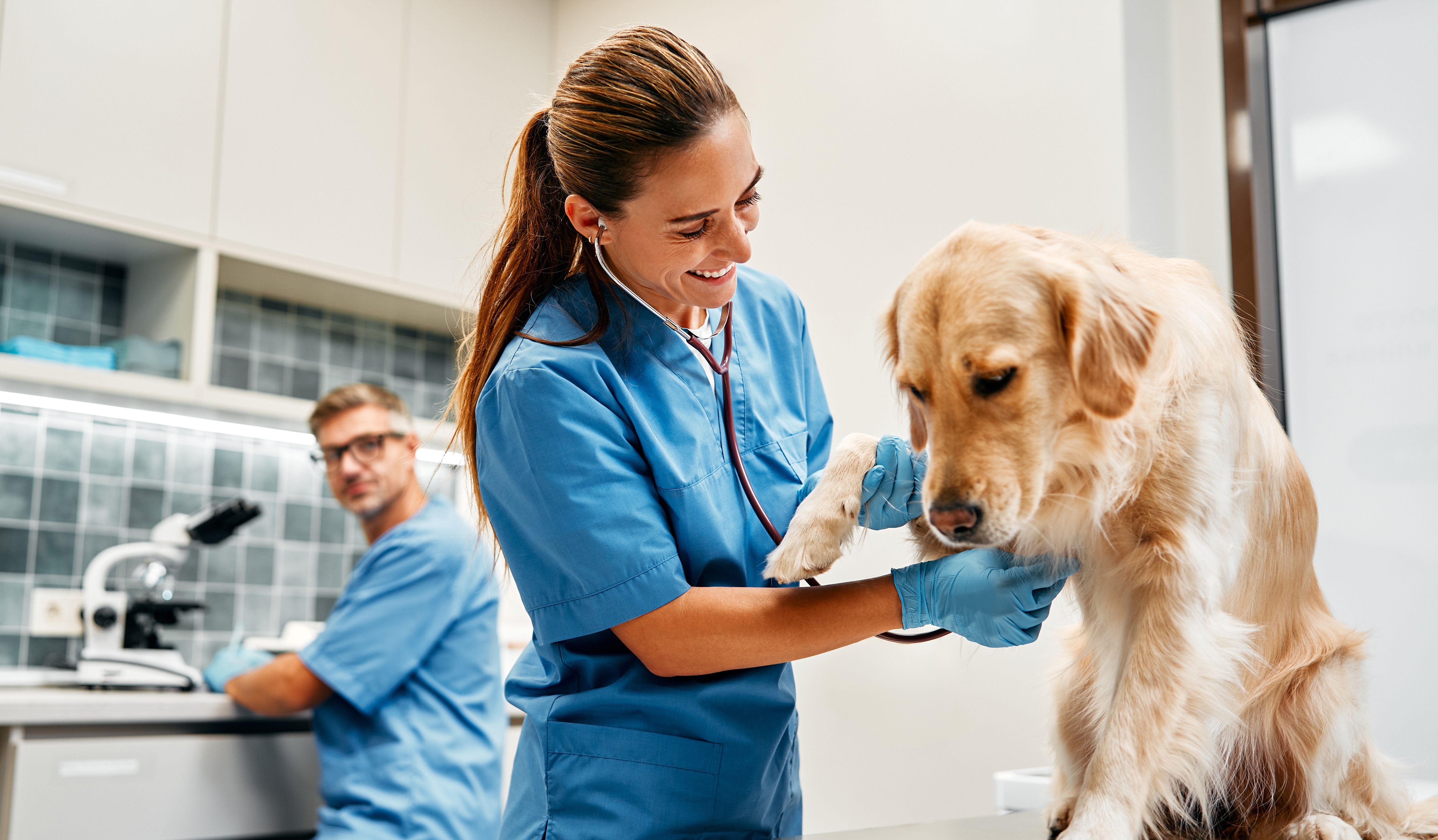 A importância do descarte correto de resíduos veterinários